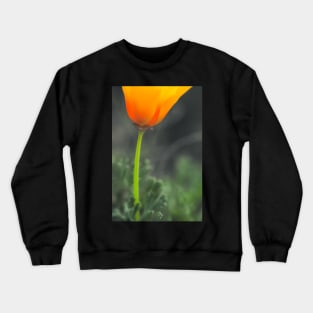 California Poppy Crewneck Sweatshirt